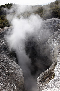 新西兰奥克兰罗托鲁瓦火山岩特写