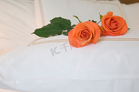 床上放两朵玫瑰