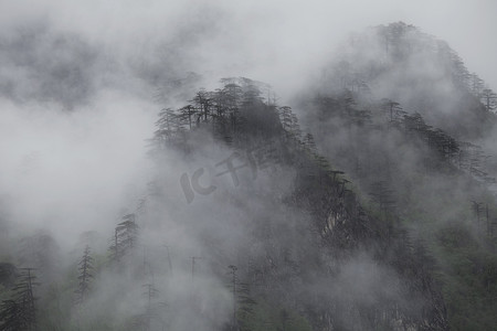 静默摄影照片_黑山杜尔米托雾气笼罩的山丘