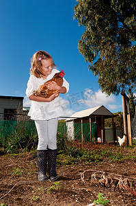 赢战鸡年摄影照片_拿着鸡的女孩