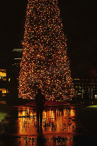 夜间户外的圣诞树