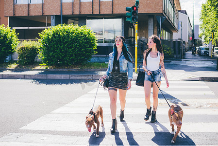 两名年轻女子走在市区人行横道上的比特斗牛犬