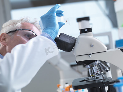 科学家正在准备一种包含人体血液样本的样本载片供在实验室的显微镜下进行医学测试