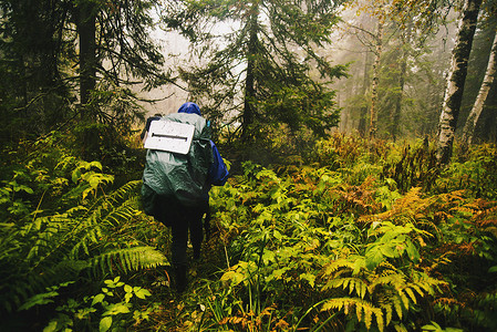 徒步旅行者背着背包在森林中的背影