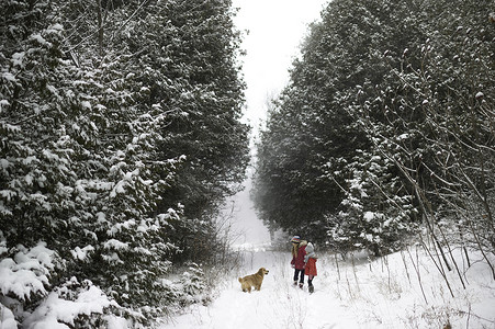 姐妹们带着狗去雪林探险