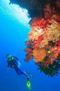 嘴唇标签摄影照片_潜水员在珊瑚礁游泳
