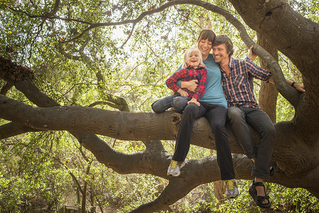 小男孩父母坐在树上