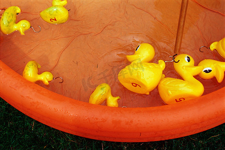戏水池里的橡皮鸭