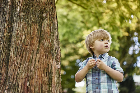 男孩站在树上看着别处