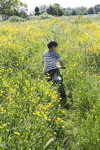 男孩在金凤花花丛中骑车的后视线