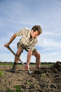 田野农民摄影照片_一名中年男子在田野里挖掘