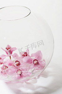 玻璃碗里的粉色花朵