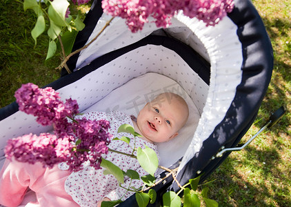 婴儿车里开着淡紫色的花
