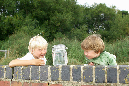 两个小男孩看着罐子里的鱼