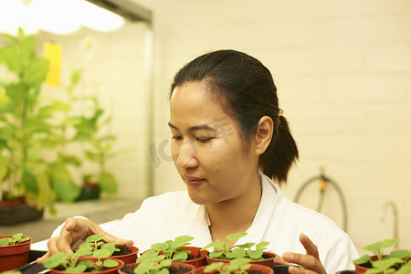 女科学家在实验室监测植物样本