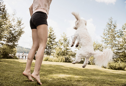 芬兰奥里维西一名女子在花园里抱着一只叫的狗跳跃