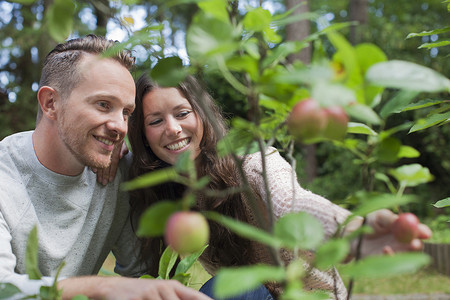 一对夫妇在花园里摘苹果