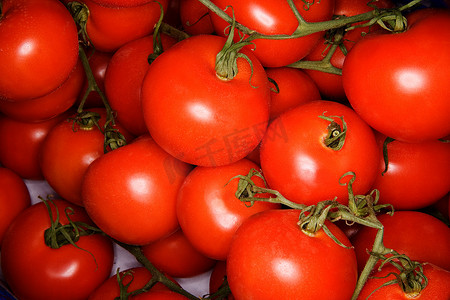 鲜活农产品摄影照片_番茄