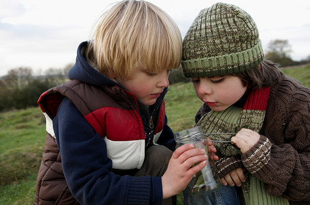 小男孩们在检查一罐昆虫