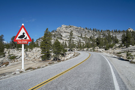 城市复牌摄影照片_美国加利福尼亚州约塞米蒂国家公园奥姆斯特德角的山区公路慢鸭警示标志