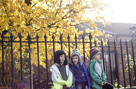 秋天三个男孩在户外靠在栅栏上