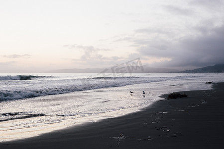 城市海景摄影照片_黎明时分的海滩和海景莫罗湾美国