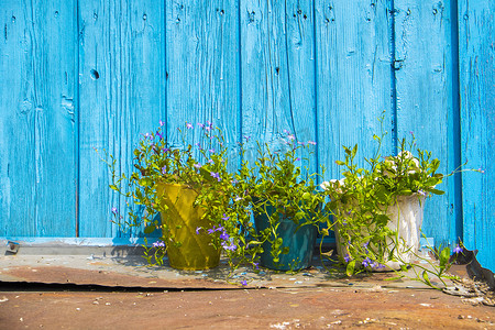 绿松石油漆小屋前的一排三个盆栽