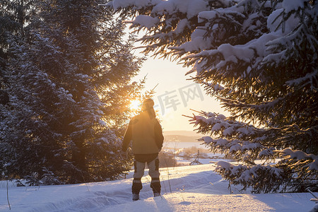 俄罗斯乌拉尔男性徒步旅行者在阳光普照的白雪覆盖的森林中徒步旅行的后景