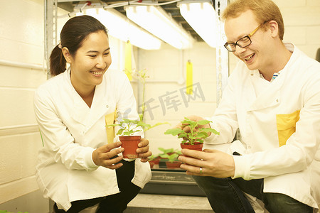 两位科学家在实验室比较植物样本