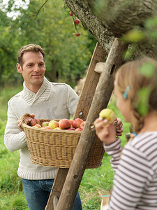 男人一边摘苹果一边看着女孩