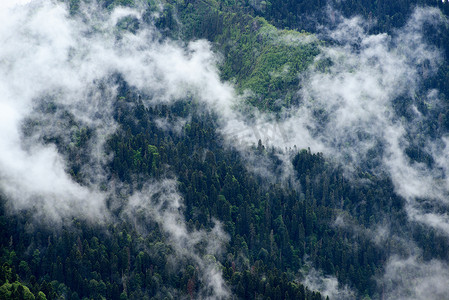 森林山水云雾摄影照片_俄罗斯阿代格共和国高加索山脉自然公园云雾森林的高角视角