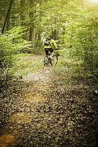 乡村大道摄影照片_成年男性山地自行车手在森林小径上骑自行车的后景