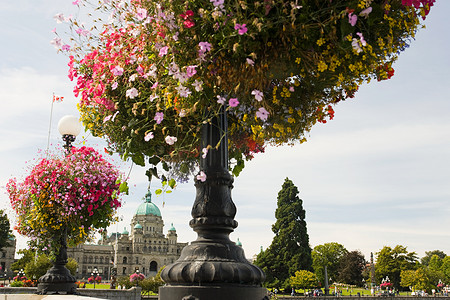 鲜花和不列颠哥伦比亚省议会大楼