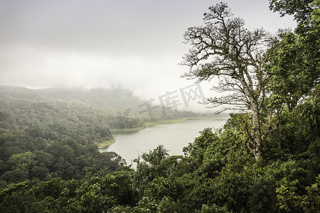 印度尼西亚巴厘岛热带雨林薄雾和大海的高空景观