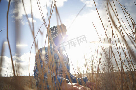 芦苇从摄影照片_成熟的男人从阳光灿烂的芦苇中向外看