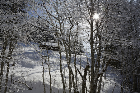 德国巴伐利亚州埃尔茂市白雪覆盖的风景上透过树木的原木小屋观看