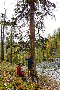 芬兰拉普兰森林中的树木旁休息的小径跑步者