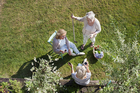 三个女人在花园里交谈俯瞰