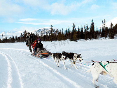 狗狗家庭摄影照片_坐在狗拉雪橇上的家人