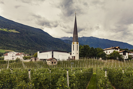 意大利南蒂罗尔山谷的教堂和果园