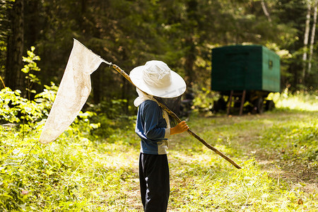 俄罗斯斯维尔德洛夫斯克地区村带蝴蝶网的树林里的男孩