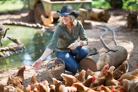 一名妇女在农场喂鸡