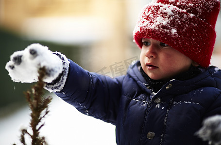 男童用白雪覆盖的手套触摸植物的特写