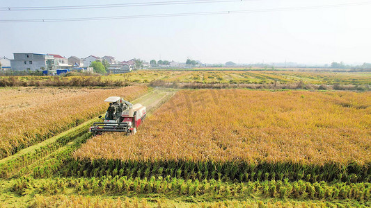 航拍农业秋收季节稻谷丰收机械化农业
