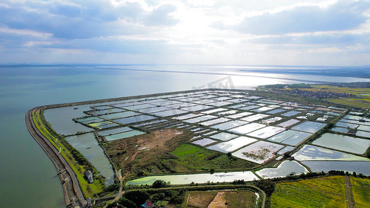 实拍茶叶冲泡茶道茶艺