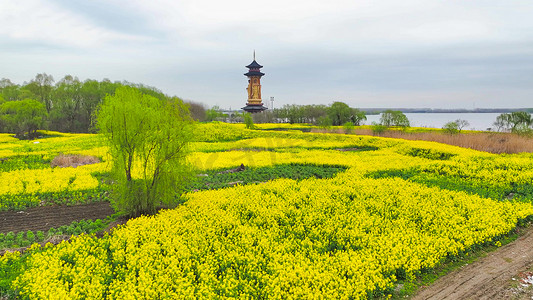 航拍泰州5A景区溱湖风景区