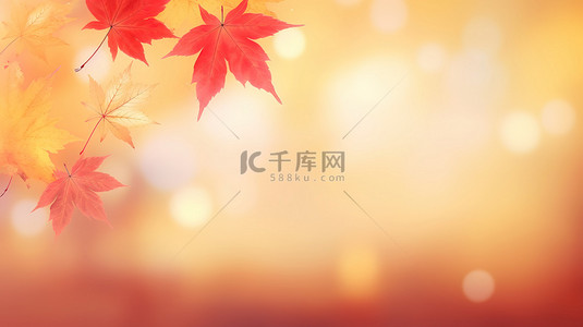 秋季红黄色枫叶秋色背景11