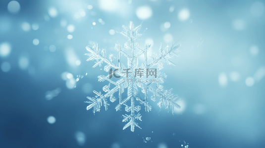 简约冷背景图片_简约冬季雪片清新背景10