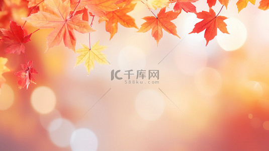 秋季红黄色枫叶秋色背景20