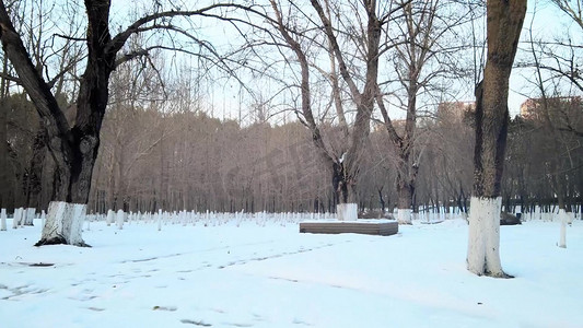 大气航拍冬季清朝努尔哈赤陵墓雪景